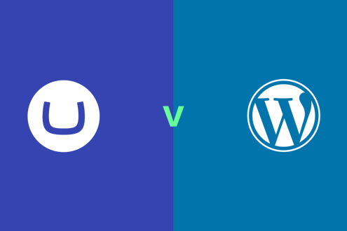 umbraco-vs-wordpress.png (1)
