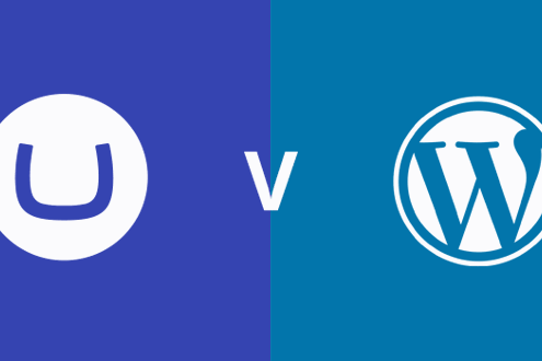 Umbraco vs Wordpress comparison illustration