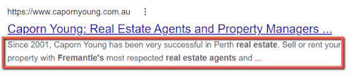 Google Search Description Tag Example