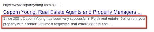 Screenshot of a Google search description tag example