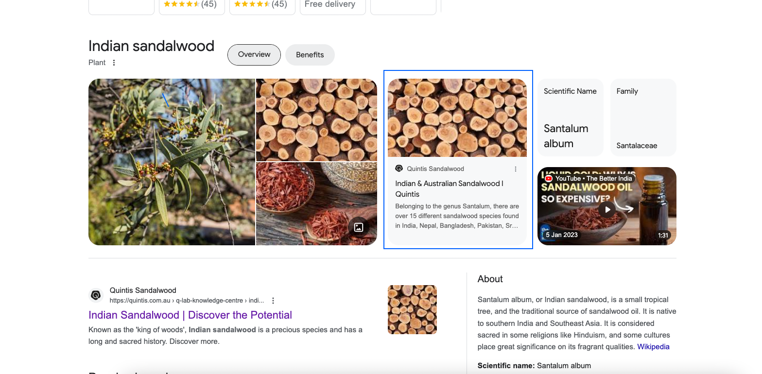 Screenshot of Google's rich snippet search results